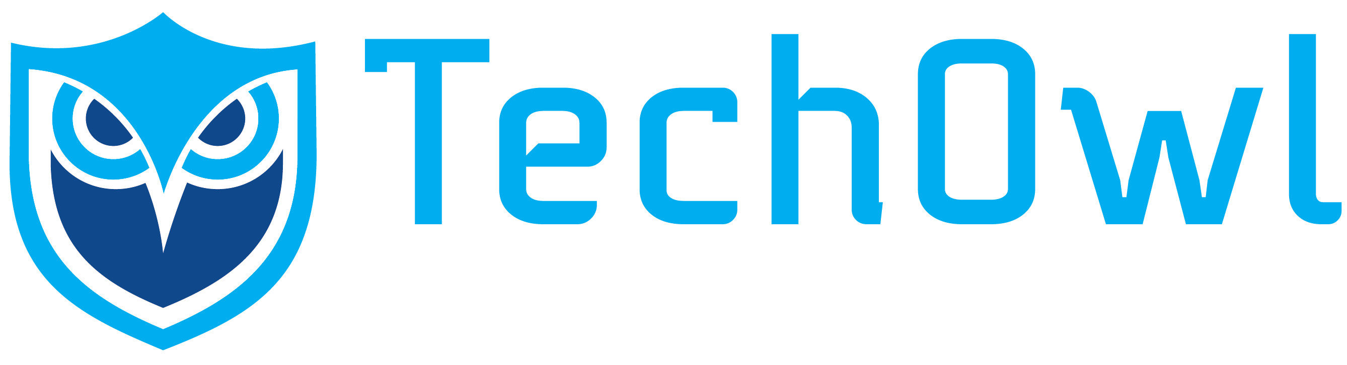 TechOwl DMARC+