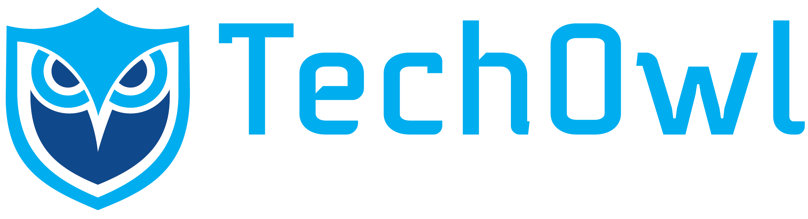 TechOwl CSPM